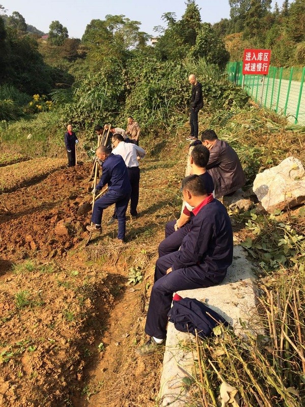 自耕自種，豐富職工業(yè)余生活